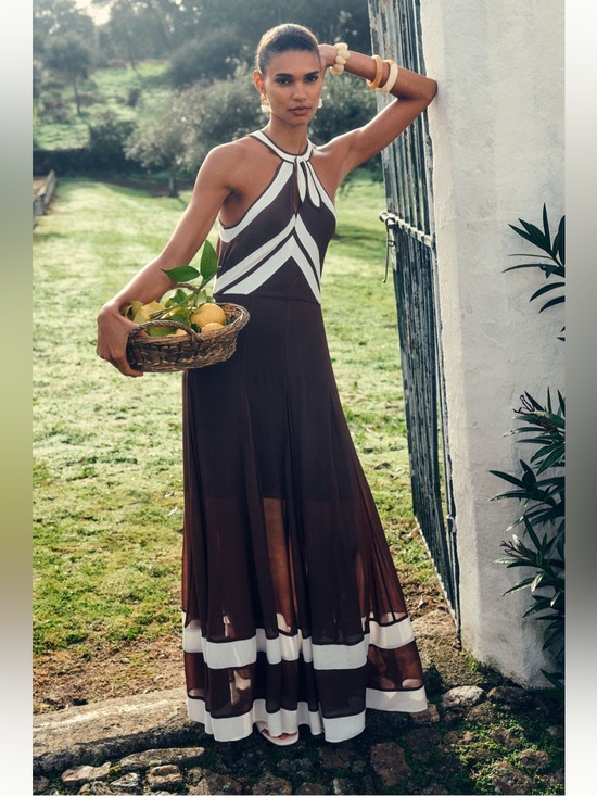 Anthropologie Dresses & Skirts - Anthropologie BrownHalter Maxi Dress Sz-6
